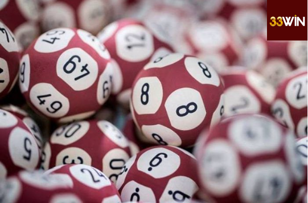 Lô kép nuôi khung 2 ngày